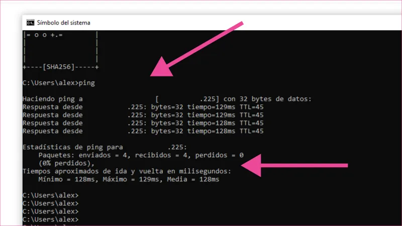 Símbolo del sistema, prueba de ping a dominio con respuesta de IP publica de DO.