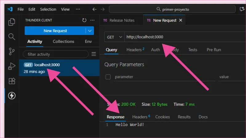 Probando API get del proyecto NestJS con Thunderclient.