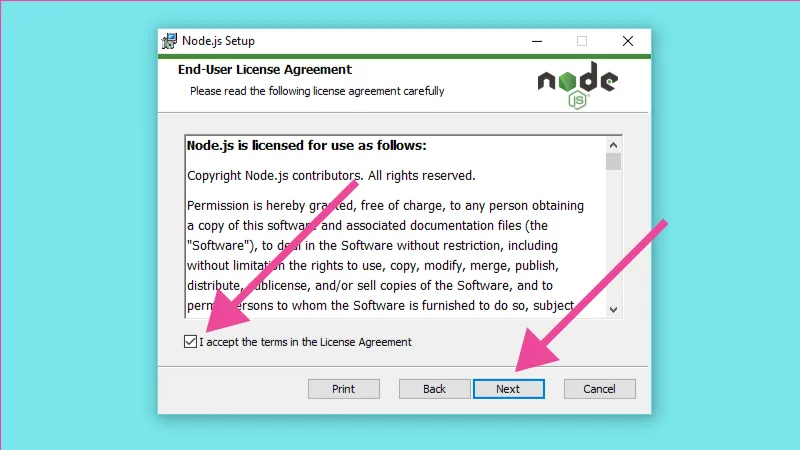 Siguiente ventana de instalación, aceptar términos y click en next.
