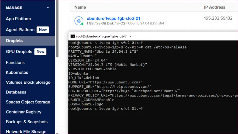 Símbolo del sistema con la conexión por SSH al Droplet de Digital Ocean.